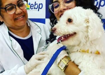 EBP Caruaru realiza 1º Mega Feirão de Profissões