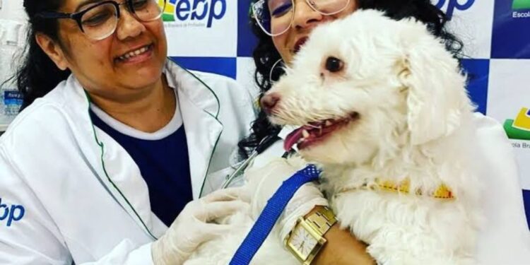 EBP Caruaru realiza 1º Mega Feirão de Profissões