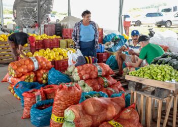 CEACA divulga cotação de preços na primeira semana de Setembro