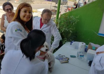 Vacinação antirrábica gratuita e adoção de cães e gatos serão realizadas, nesta sexta-feira (13), em Caruaru