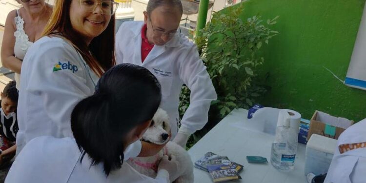 Vacinação antirrábica gratuita e adoção de cães e gatos serão realizadas, nesta sexta-feira (13), em Caruaru