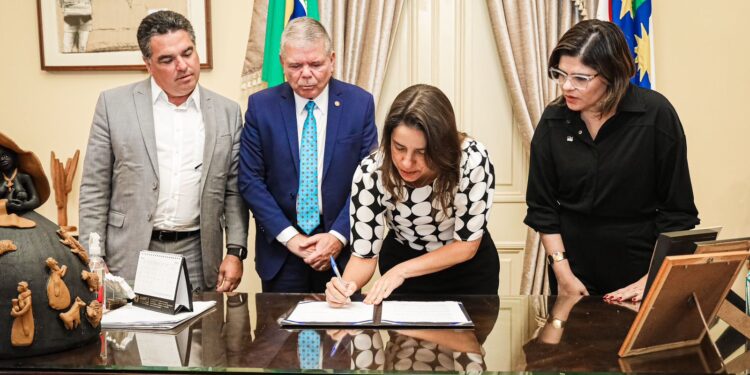 Governo do Estado destina imóvel ao Tribunal de Justiça de Pernambuco para construção de um novo Fórum da Comarca no município de Rio Formoso, na Mata Sul