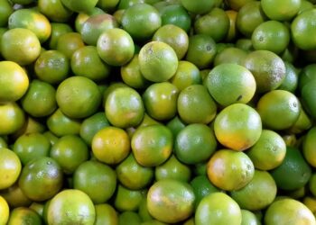 Ceaca divulga cotação de preços semanal