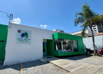 Hospital Veterinário Jerônimo Ribeiro celebra 13 anos de excelência e dedicação aos animais