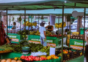 Feira da Agricultura Familiar é uma ótima opção para as receitas de fim de ano