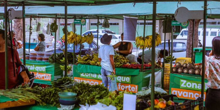 Feira da Agricultura Familiar é uma ótima opção para as receitas de fim de ano