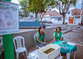 Secretaria de Saúde alerta para cuidados com o Aedes aegypti no verão