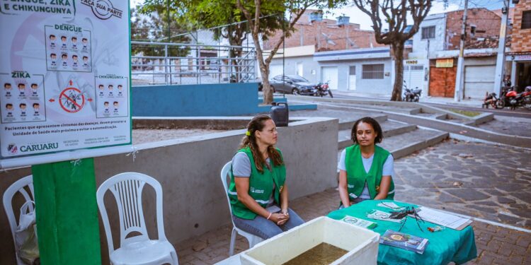 Secretaria de Saúde alerta para cuidados com o Aedes aegypti no verão