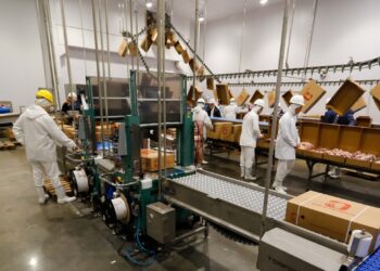 Pernambuco se consolida nacionalmente na geração de emprego e amplia ações de estímulo ao empreendedorismo