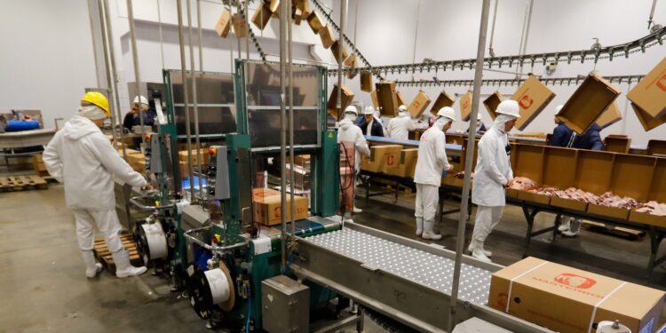 Pernambuco se consolida nacionalmente na geração de emprego e amplia ações de estímulo ao empreendedorismo