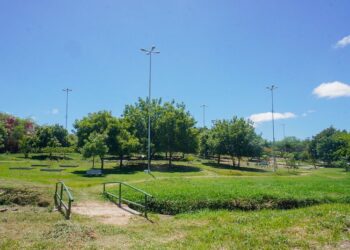 Prefeitura de Caruaru orienta população a não alimentar e nem manter contato com animais silvestres