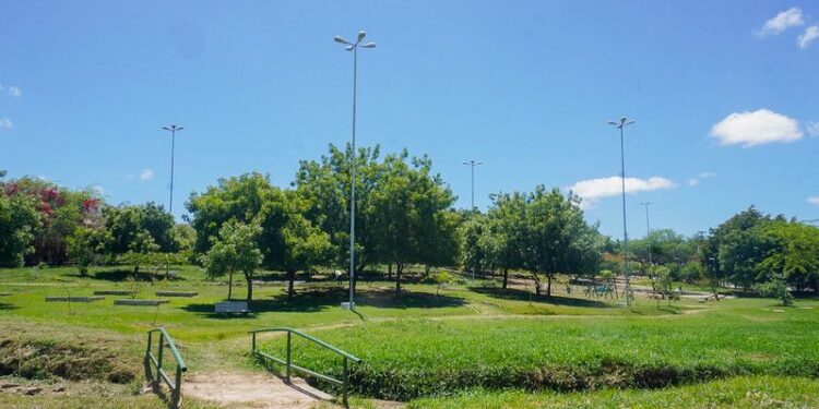 Prefeitura de Caruaru orienta população a não alimentar e nem manter contato com animais silvestres