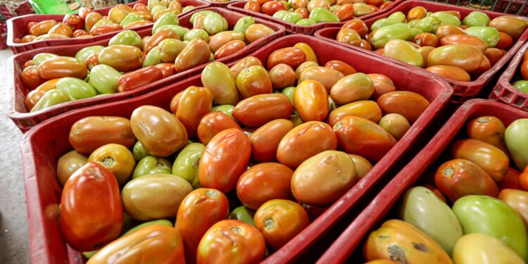 Cotação de preços da Ceaca avaliou mais de 70 itens nesta semana