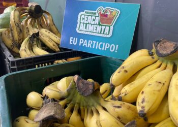 Ceaca Alimenta arrecadou mais de uma tonelada de alimentos no mês de janeiro