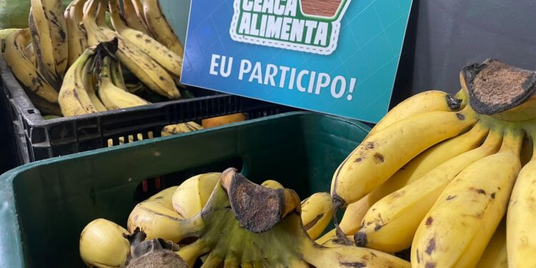 Ceaca Alimenta arrecadou mais de uma tonelada de alimentos no mês de janeiro