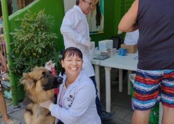 Ação social para vacinar cães e gatos no bairro Petrópolis