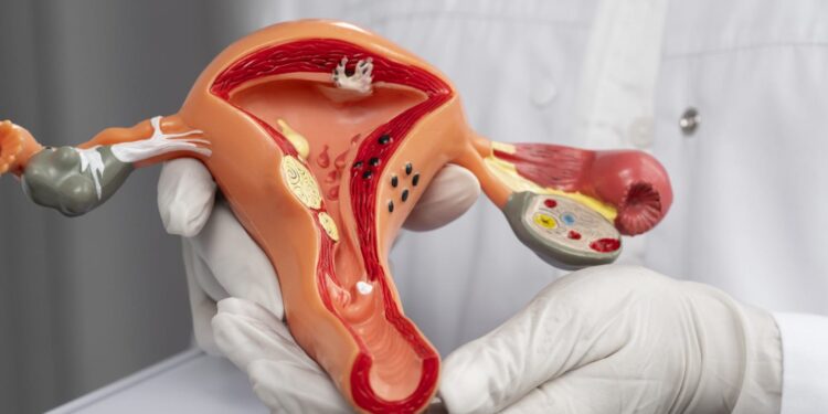 Mês de Conscientização sobre o Câncer de Colo do Útero chama atenção para prevenção