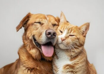 Abril Laranja – mês de prevenção contra a crueldade animal