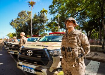 Juntos pela Segurança: Pernambuco tem o mês de maio mais seguro dos últimos 21 anos