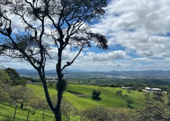 Dia Mundial da Conservação da Natureza
