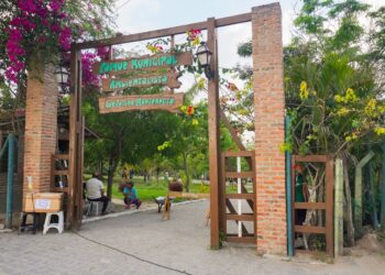 Secretaria de Sustentabilidade e Bem-Estar Animal promove “Conexão Verde: Pais & Filhos” no Parque Severino Montenegro