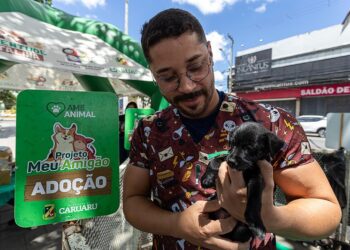 Projeto “Meu Amigão” incentiva adoção responsável de cães e gatos no Marco Zero