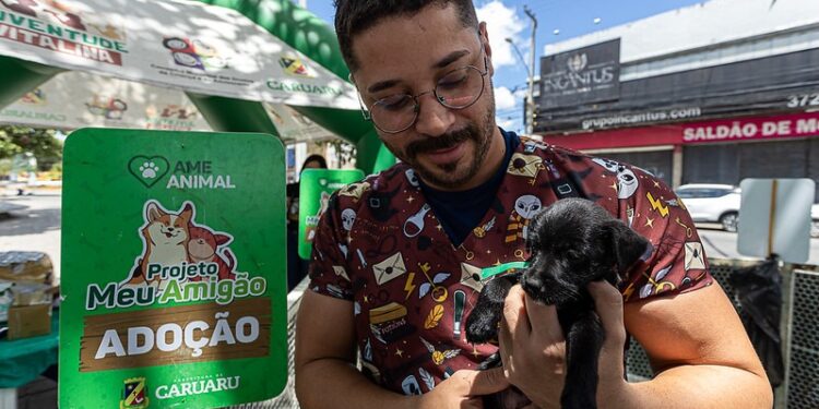Projeto “Meu Amigão” incentiva adoção responsável de cães e gatos no Marco Zero