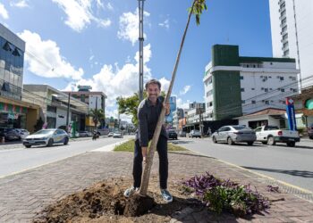 Caruaru inicia ação de arborização que prevê o plantio de 160 árvores em áreas verdes do município