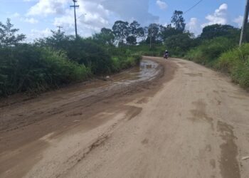 Governo de Pernambuco lança edital para requalificação da APE-141, no Murici, em Caruaru