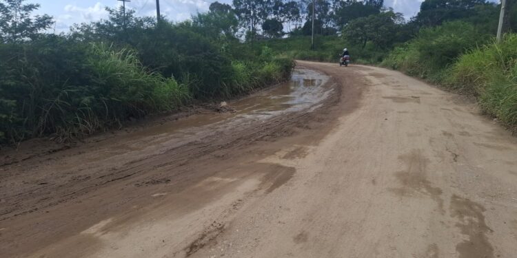 Governo de Pernambuco lança edital para requalificação da APE-141, no Murici, em Caruaru