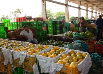 Cotação semanal da Ceaca aponta estabilidade em diversos produtos