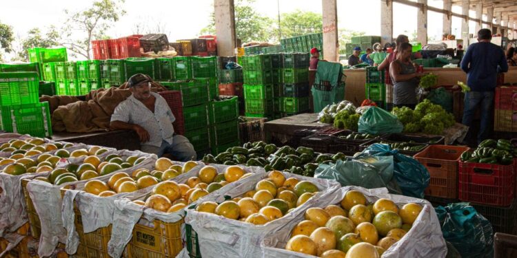 Cotação semanal da Ceaca aponta estabilidade em diversos produtos
