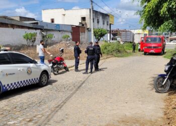 Guarda Municipal flagra crime ambiental em Caruaru