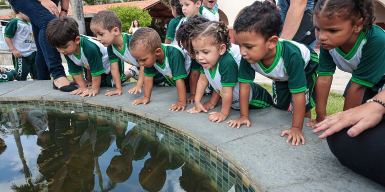 Projeto leva crianças dos CMEIs Municipais para vivências fora do ambiente estudantil