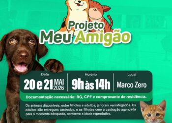 Prefeitura de Caruaru promove nova edição da Feira Meu Amigão com adoção responsável