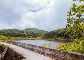 Parque Natural Municipal Professor João Vasconcelos Sobrinho celebra 43 anos como patrimônio ambiental de Caruaru