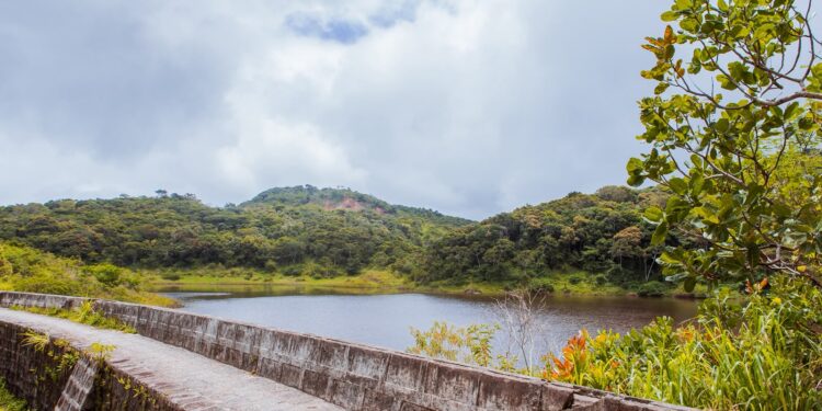 Parque Natural Municipal Professor João Vasconcelos Sobrinho celebra 43 anos como patrimônio ambiental de Caruaru