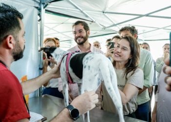 Governadora Raquel Lyra anuncia nova meta de 40 mil castrações gratuitas de cães e gatos através do Castramóvel