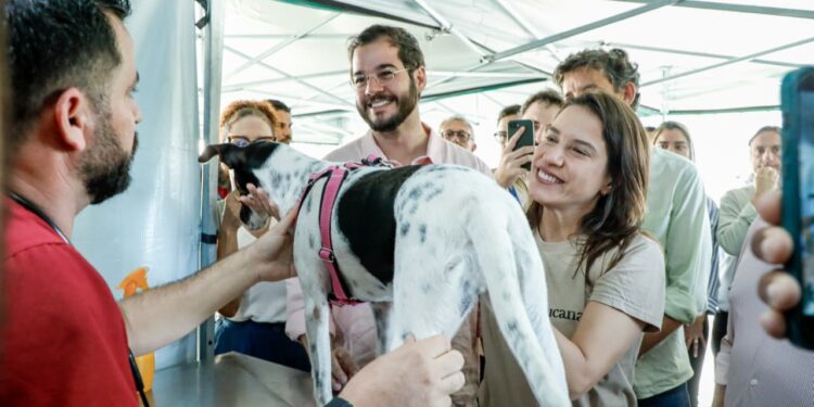 Governadora Raquel Lyra anuncia nova meta de 40 mil castrações gratuitas de cães e gatos através do Castramóvel