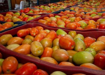 Ceaca registra queda de preços em 13 produtos na cotação da semana