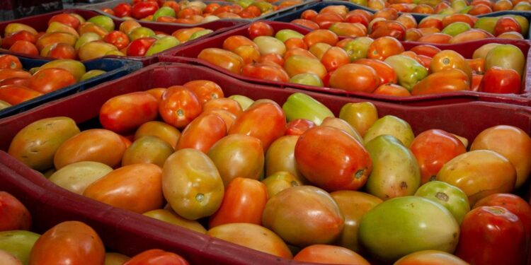 Ceaca registra queda de preços em 13 produtos na cotação da semana