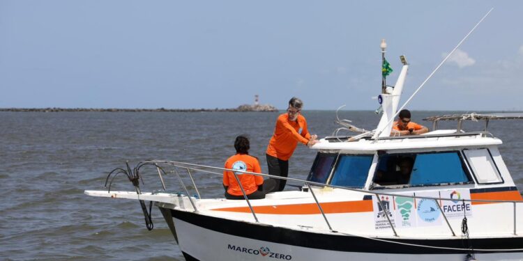 Pernambuco registra em agosto os menores números de MVIs e CVPs das séries históricas